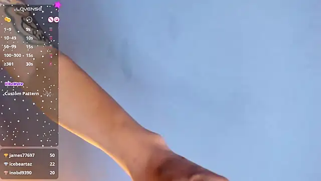 Tracy_lambo webcam
