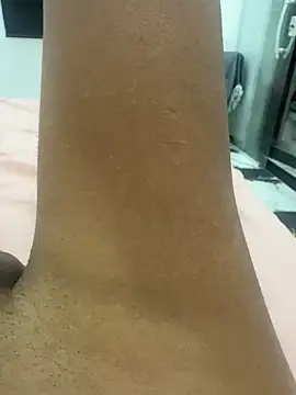 Modelo: Mikadottada