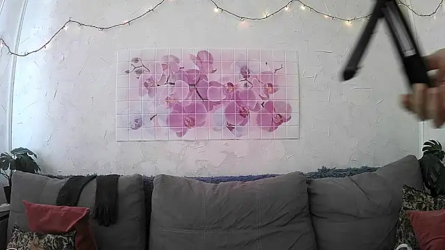 ValleriWind webcam