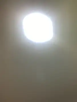 zoee_rose webcam