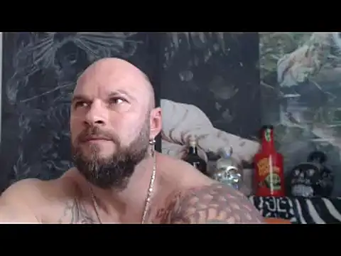 viking_30 webcam
