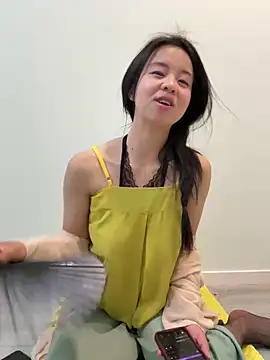 NiNa5203 webcam