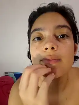 Meeliivee webcam