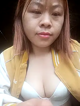 embe1144 webcam