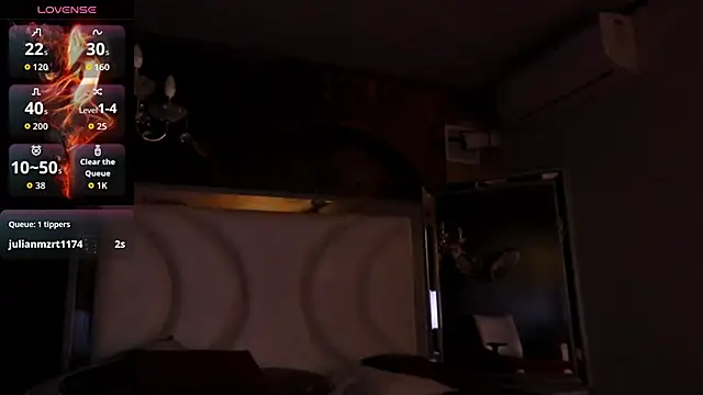 NikyDark webcam