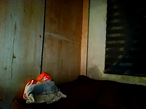 steinny_ webcam