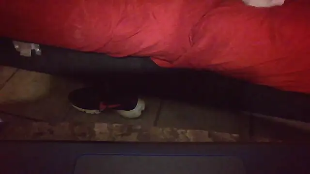 RexMinnie