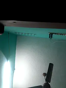 Villageanuty webcam