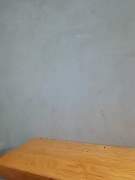 Vanvan68xx webcam