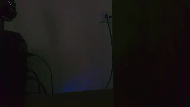 arletmss webcam