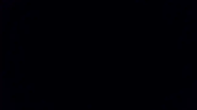 TeddyGominola_ webcam