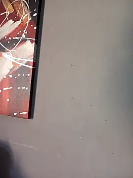 TheVersCouple webcam