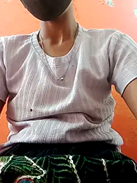 Sumi_sen_1 webcam