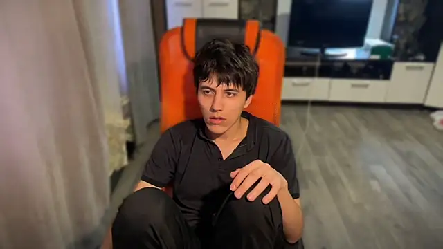 vialeras1 webcam