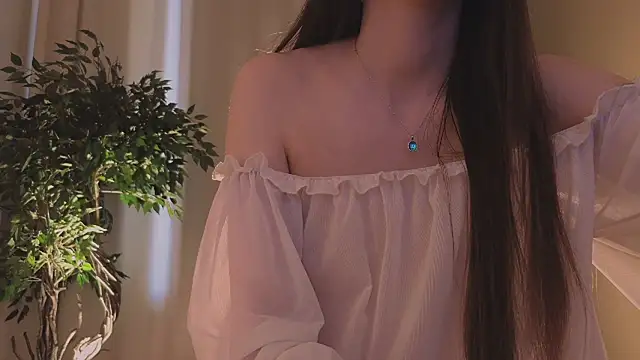 Alice-Lidel webcam