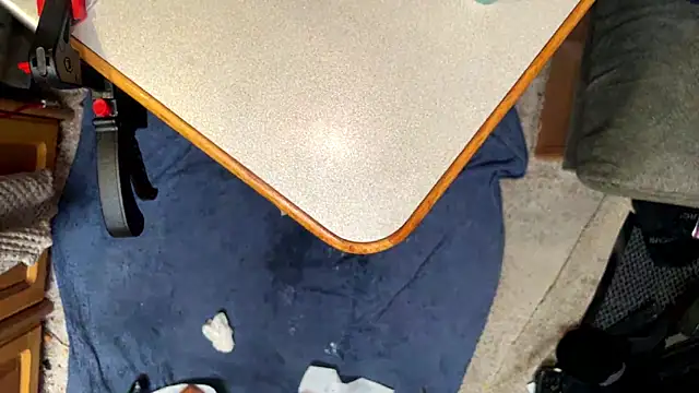 SharkedTaxis webcam