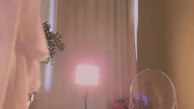 Alice-Lidel webcam