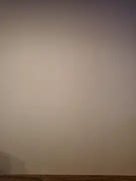 AlphaGymMale