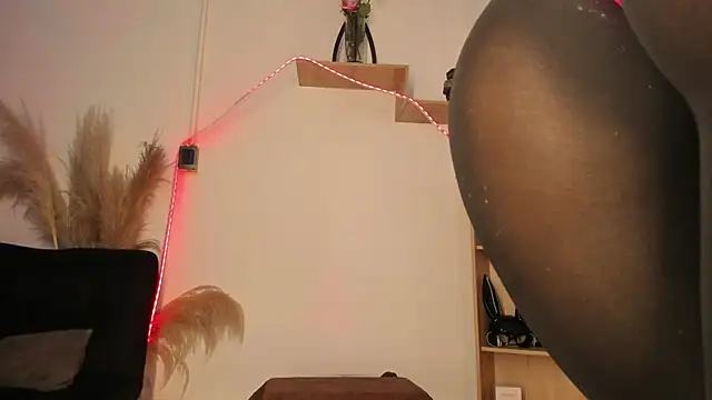 Tylla__ webcam
