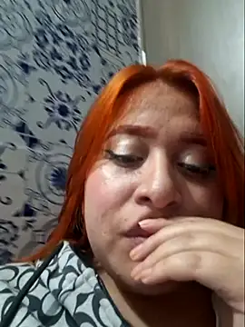 venuscopper webcam