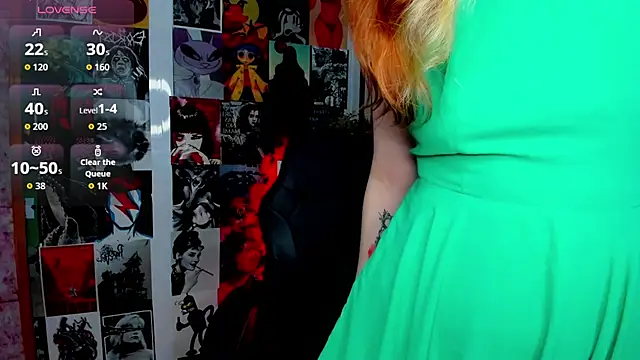 Ida_FaneStain webcam