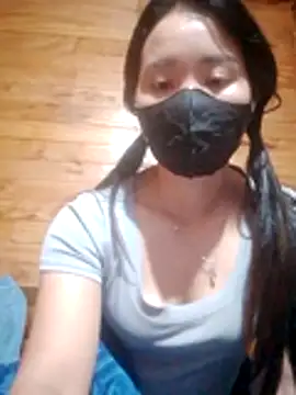 Td3di webcam