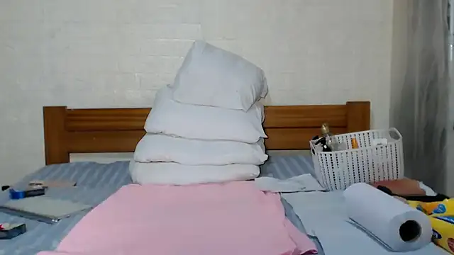 awild_kitten webcam