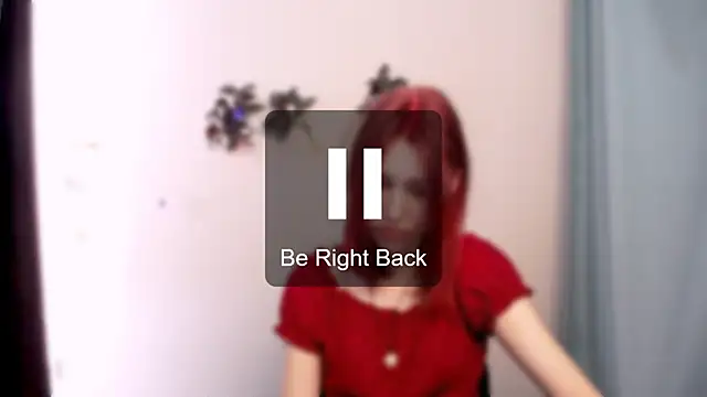 GuessMe___ webcam