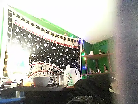 HippieDad333 webcam