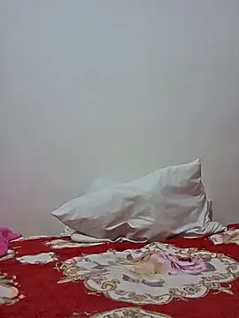 altinya webcam