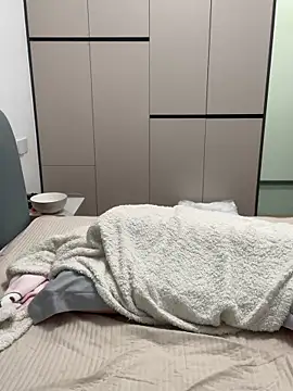 zzdd999