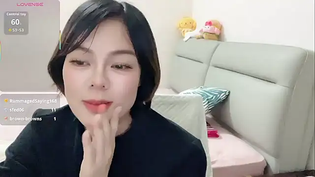 Linda-LL webcam