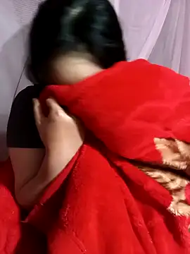 vesla-2k webcam