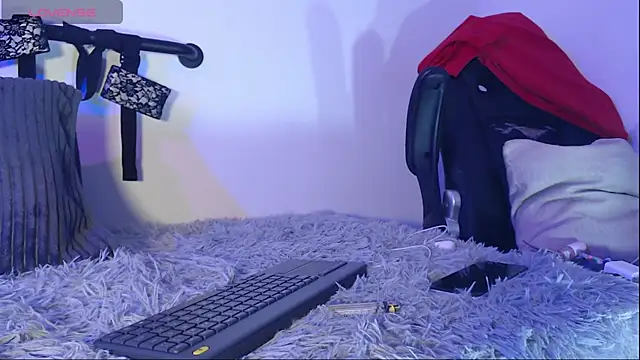 aronleblanc_ webcam