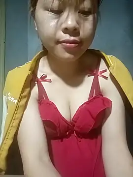 embe1144 webcam
