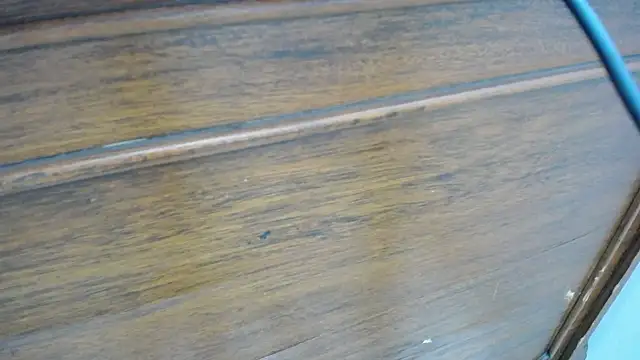 annie__petite webcam