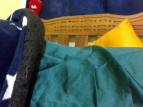 Roseroca33 webcam