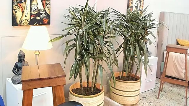 kai_storn webcam