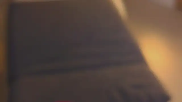 sinteas webcam
