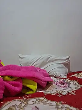 altinya webcam
