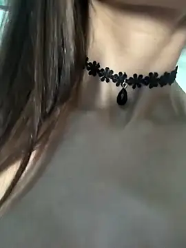 Pu688 webcam