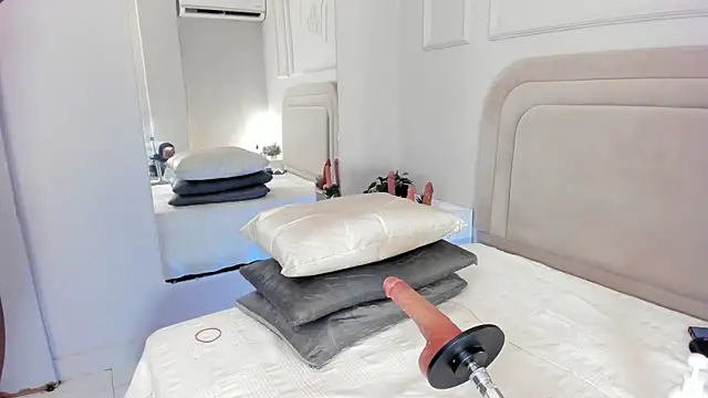 Liastarkk webcam