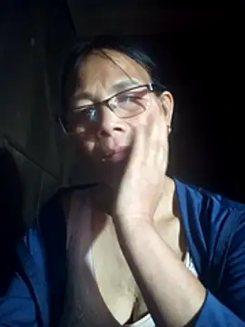 toyo_668 webcam