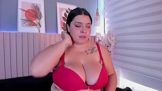 karo_linee1 webcam