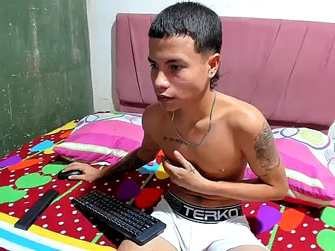 Nikoll_couplee webcam