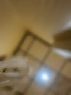 lolabunny9