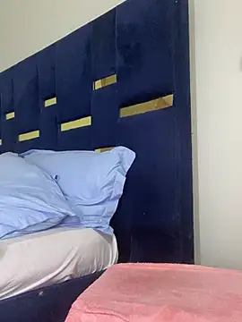 Dellah27 webcam