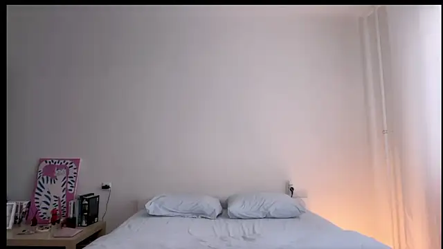 Milky___Way webcam