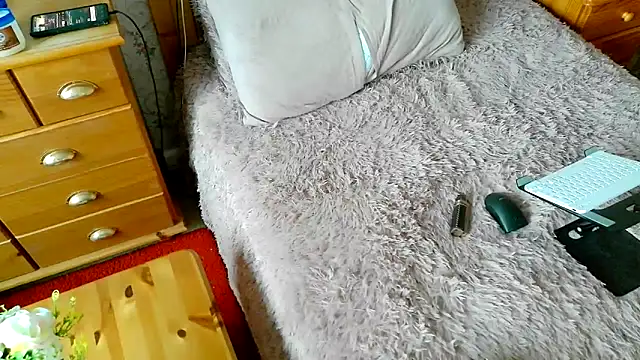 234Ella webcam