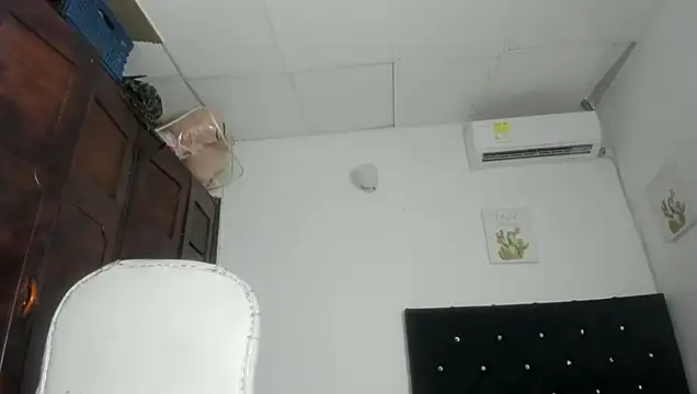 Modèle: barbie_ds